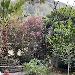 Boccadifuoco * Motta Camastra