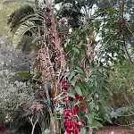 Boccadifuoco *