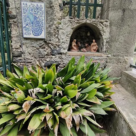 Apartment Boccadifuoco