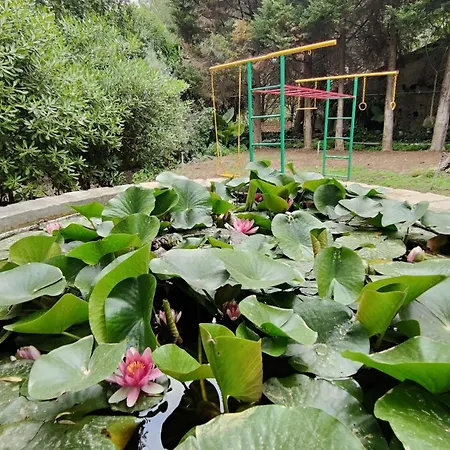 Apartamento Boccadifuoco Sul Fiume Alcantara