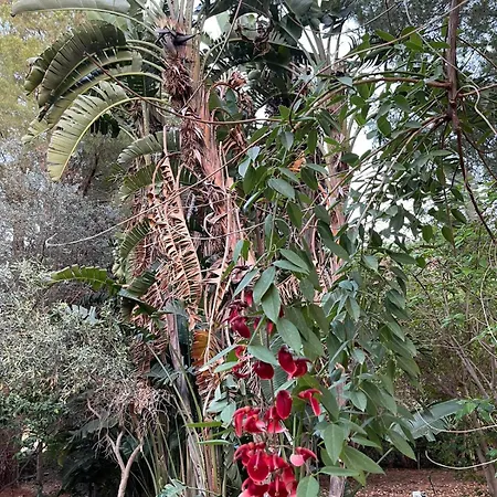 Boccadifuoco Sul Fiume Alcantara *