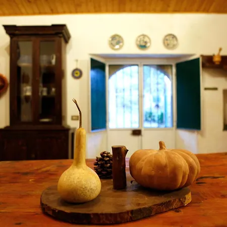 Apartamento Boccadifuoco Sul Fiume Alcantara *